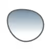 Color Tint